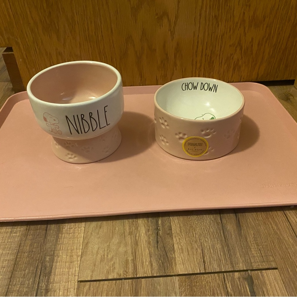 Rae Dunn Snoopy dog bowl set New!